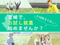【給与あり・最大3カ月】農業大国・宮崎で ”お試し就農” 始めませんか？