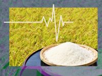 米価低迷の時代に水田農業をどう考えるか