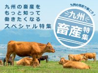 九州の畜産で働こう！九州畜産特集