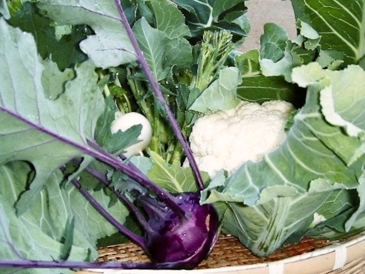 野菜セット