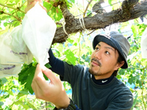 山田憲次