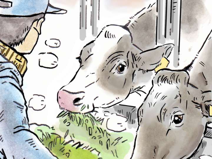 酪農漫画「うしだらけの日々」 第17話 酪農の年末年始は？