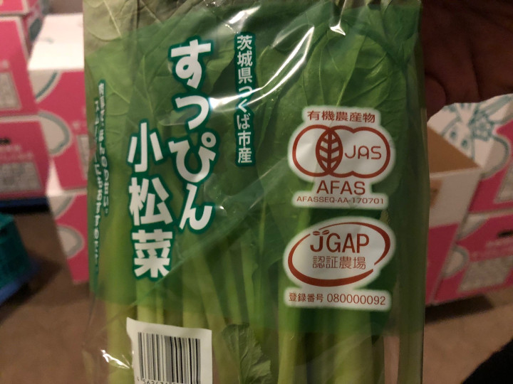コマツナ