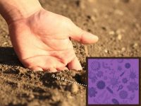 土中の微生物の役割とは？　土を生かし、果ては電気をやりとりする!?　