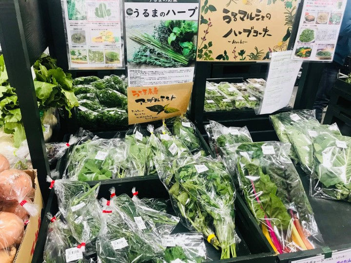 沖縄の農業＆流通について冬の野菜１