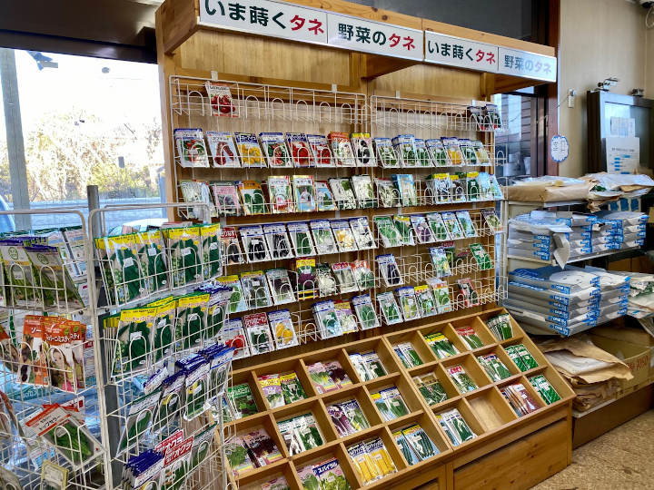 店内の種コーナー