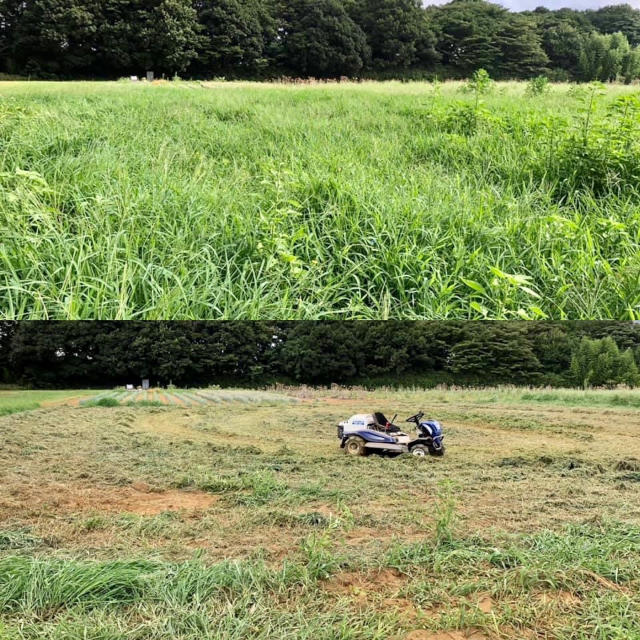 上before下after