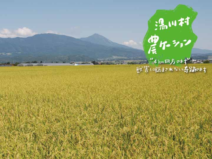【農業】×【バケーション】ついつい参加したくなる湯川村へのツアープランをみんなで考えるオンラインイベント！