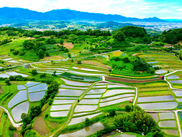 日本のはじまりの地、奈良県明日香村。その風景に欠かせない「稲渕の棚田」を守るサポーターを募集！