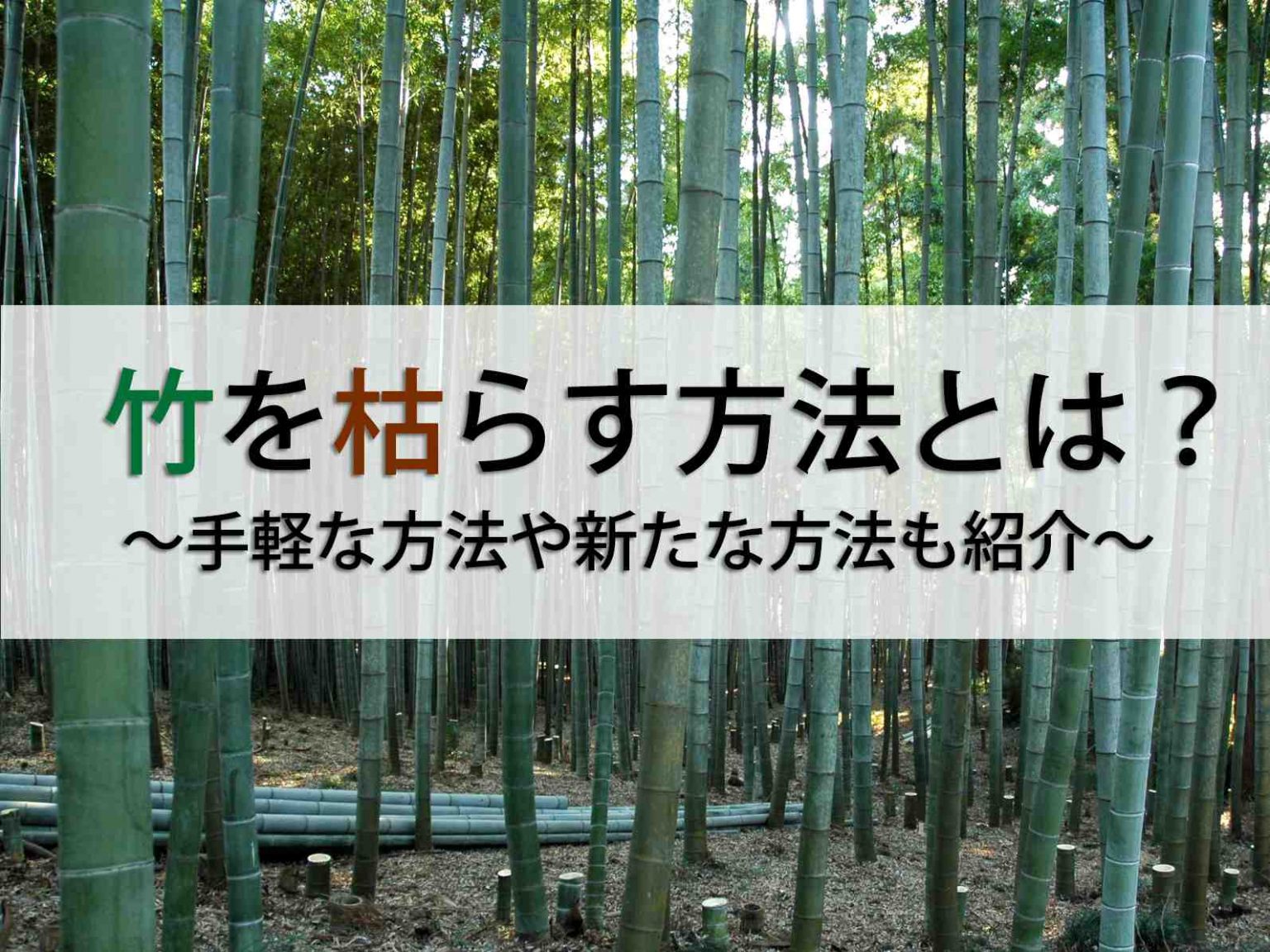 竹 の 根 を 枯らす