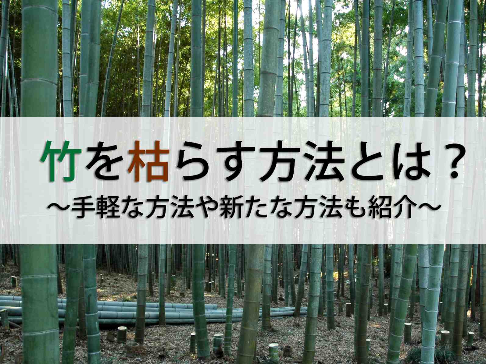 竹を枯らす方法をご紹介！それぞれの手順やメリット、注意点を解説します。｜マイナビ農業