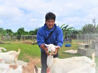 地域の食文化を広めて稼ぐ！　沖縄県でヤギ肉を生産するワケ