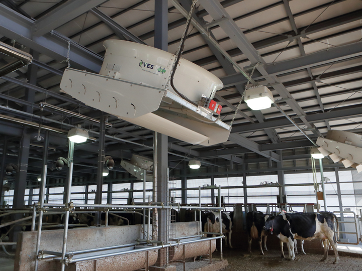 住環境を改善し、乳用牛の暑さ対策を研究！ 広島大学の新しい牛舎に注目