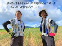 女子2人が石垣島でパイン農場を経営！　関東で本職を持ちつつ沖縄で農業を行うワケ