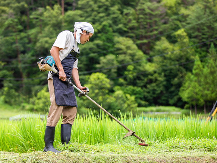 農家が効率的に草刈りをするには？ プロ必見、刈払機・草刈機の正しい選び方｜マイナビ農業