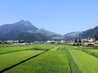 移住って何から始めるの？　新しい土地で農業を始めるには？　手順、準備するべきこと、注意点をチェックして失敗しない移住・就農を！