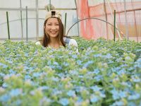 「花き」での新規就農が若年層に浸透中！コンパクトな初期投資で叶える安定経営に注目／沼田町