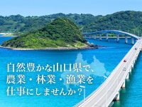 自然豊かな山口県で、農業・林業・漁業を仕事にしませんか？