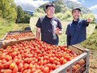 契約栽培で安定収入！生産者から見た魅力とは。日本デルモンテがトマトの契約栽培農家を募集中！