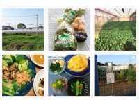 Instagramフォトコンテスト「＃東京野菜みつけた」キャンペーン結果発表！