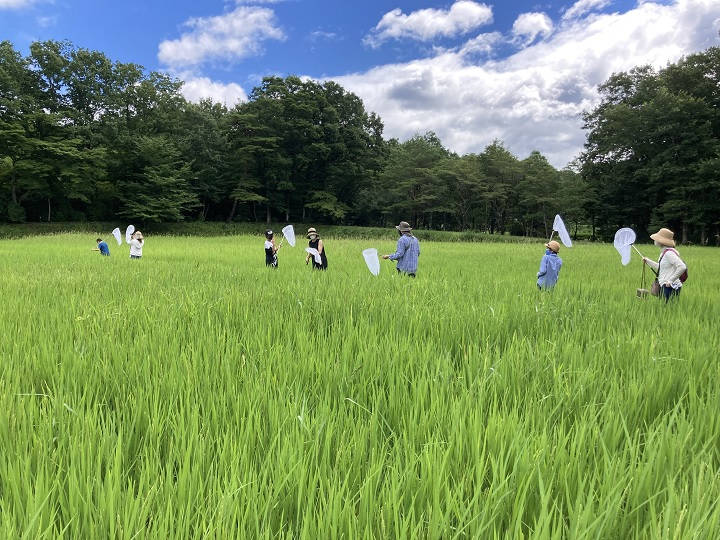 生き物探し