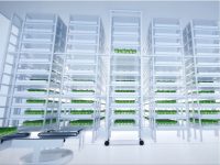 進化する植物工場。2021年には全自動化や1日1.3t出荷の工場も誕生！？