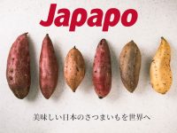 鹿児島ブランドのさつまいもを世界へ。海外からの需要が絶えない、Japapoの美味しさと安定供給の企業秘密に迫る
