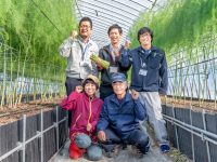 【島根県大田市】アスパラガスを新たな特産品に！行政とJAの連携で新規就農者をサポート