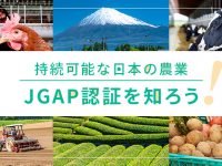 持続可能な日本の農業 JGAP認証を知ろう！