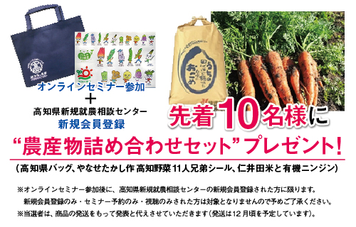 高知県の農産物詰め合わせセットをプレゼント