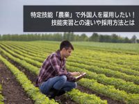 【外国人雇用について考える】第21回：農家が特定技能「農業」で外国人を採用する方法とは？技能実習との違いも解説