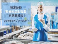 【外国人雇用について考える】第23回：特定技能「飲食料品製造業」を徹底解説！なぜ需要拡大している？