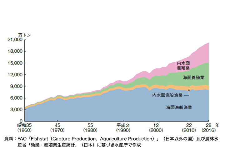 水産庁HPより引用した世界の漁業・養殖生産量の推移のグラフ