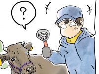 酪農漫画「うしだらけの日々」 第30話 子牛の出荷　　 第31話 家畜市場でみた競り