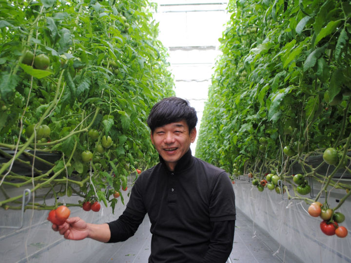 水田100ヘクタール超を預かるトマト農家　高糖度トマトの生産者と大規模稲作経営体の二つの顔を持つ理由