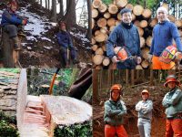 石川県内で林業に就業したい方必見！2～3月の就業イベント情報