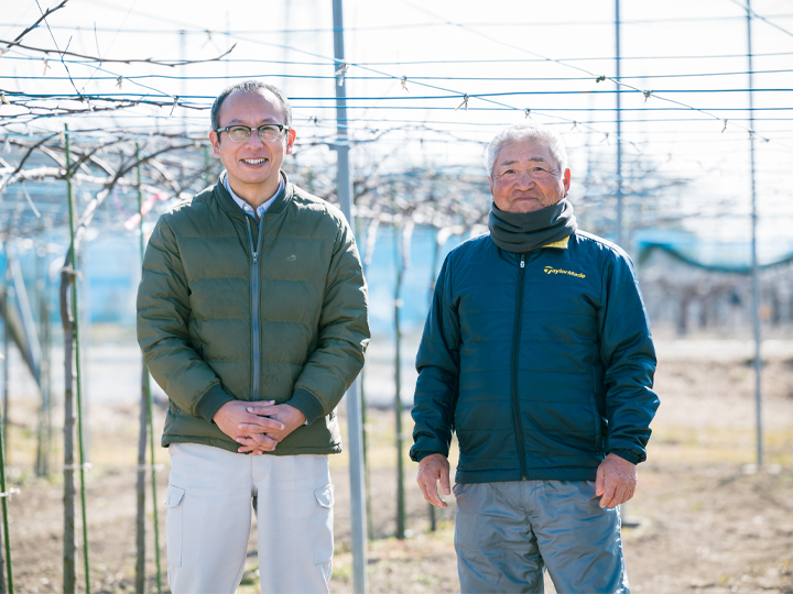 フルーツ栽培であなたの夢を描く。実り豊かな茨城県八千代町で果樹農家になりませんか