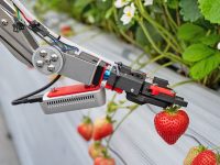 世界初の技術が誕生！低コストで導入可◎いちご自動収穫ロボット『ロボつみ』