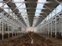 営農型太陽光発電で耕作放棄地を再生。建設会社が農業部署を立ち上げたワケ