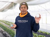 農業IoT「てるちゃん」がもたらしたイチゴ農家の躍進。シンプル機能のスマート農業で温度管理の手間を軽減！