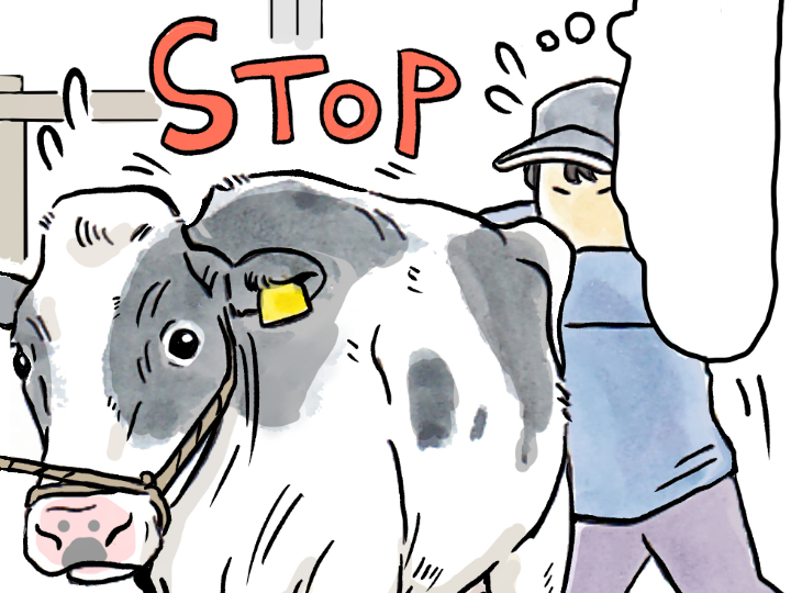 酪農漫画「うしだらけの日々」 第39話 廃用牛の出荷（後編）
