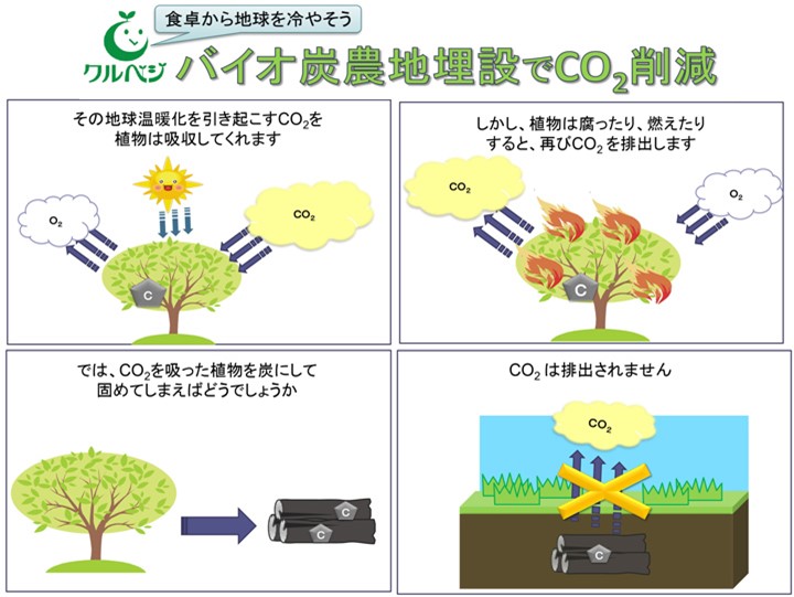 バイオ炭がCO2削減になる仕組み