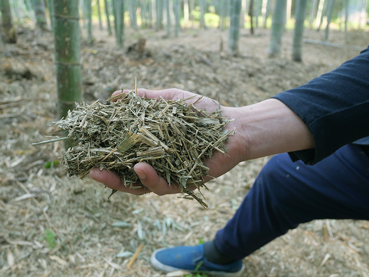 「竹害」を「竹財」に！　SDGsの優等生、竹を地域資源にする方法