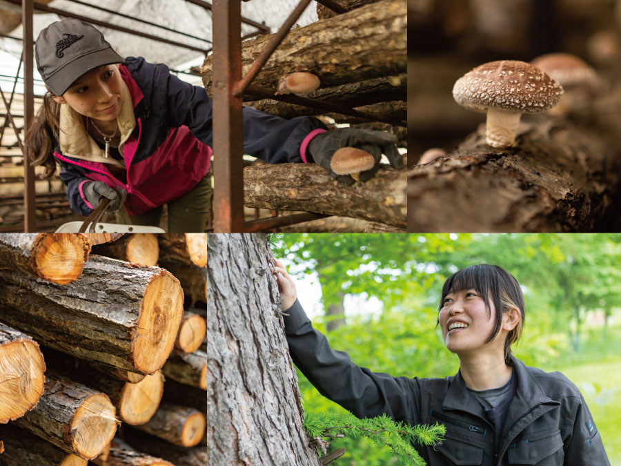 「原木しいたけ栽培」「森で働く林業」の次代を担う【地域おこし協力隊】として北海道へ！