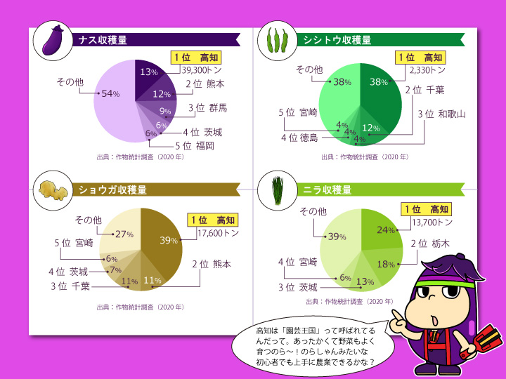高知県農産物グラフ