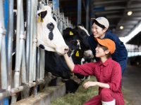 【福島県浪江町】浪江復興牧場が担う酪農の未来。国内有数の最先端大規模牧場 シャインコーストファーム事業がいよいよ始動！
