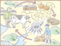 “貴重で厄介な水”問題を解消させた生産循環システムとは。連作障害も防ぐ淡路島の日本農業遺産
