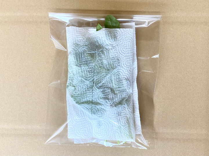 キッチンペーパーで包んでFG袋に入れる