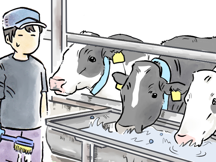 酪農漫画「うしだらけの日々」 第42話 夏の牛舎