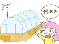 漫画「宮崎に移住した農家の嫁日記」【第230話】日射量で自動灌水